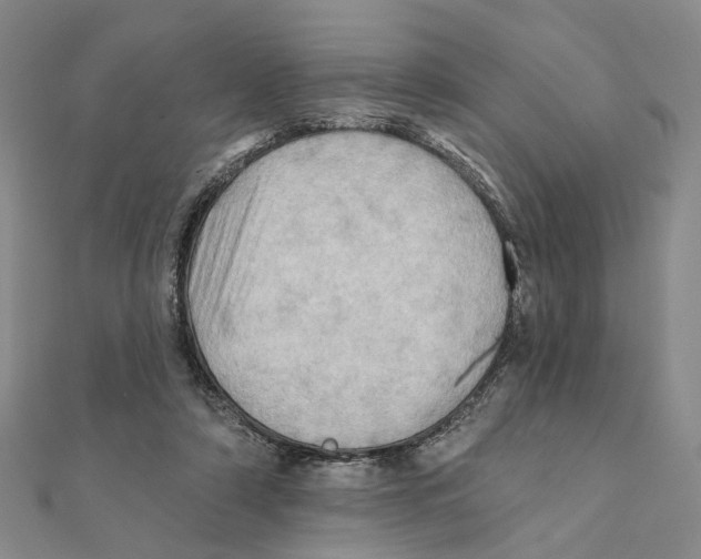 X0000111360306200908071158