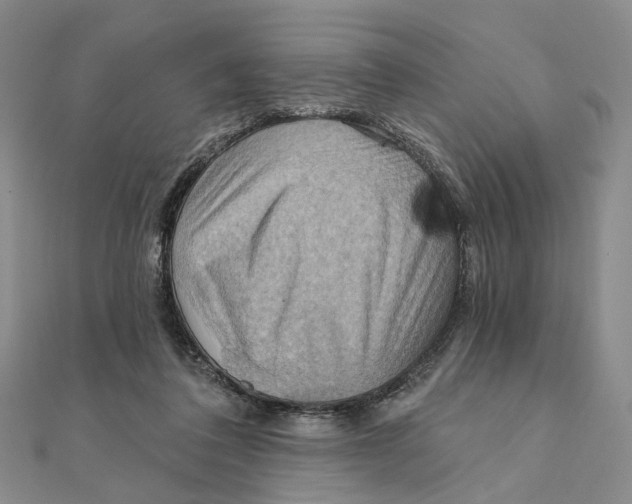 X0000111360308200908071158