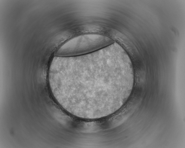 X0000111360309200908071158