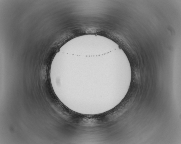 X0000111360311200908071158