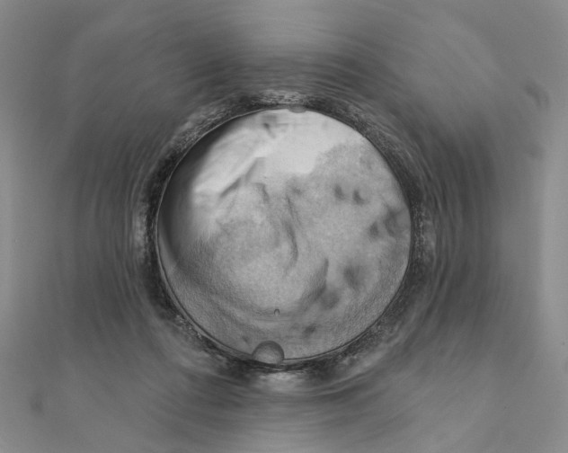 X0000111360312200908071158