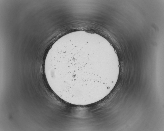 X0000111360313200908071158