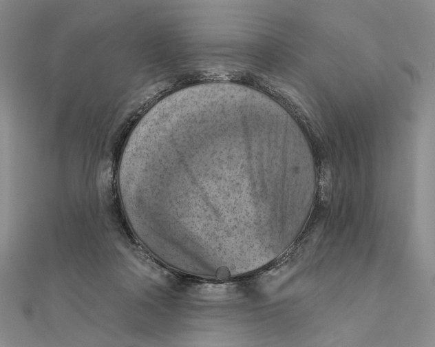 X0000111360314200908071158