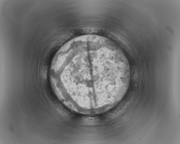 X0000111360315200908071158