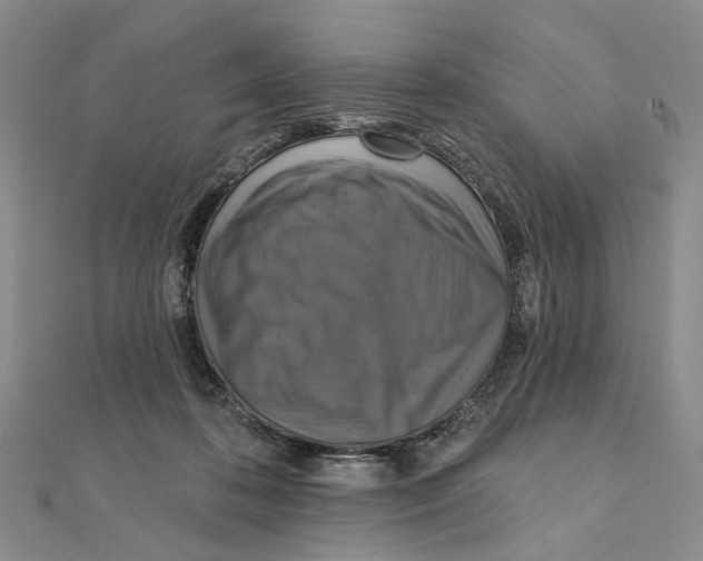 X0000111360316200908071158