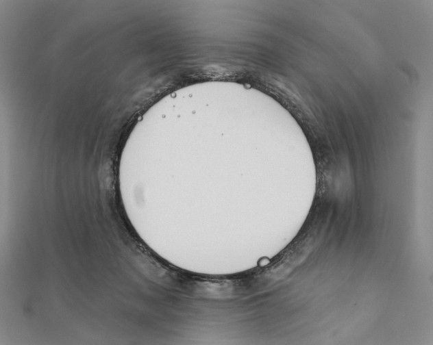 X0000111360317200908071158