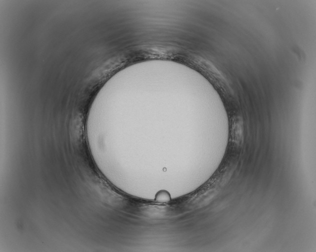 X0000111360318200908071158