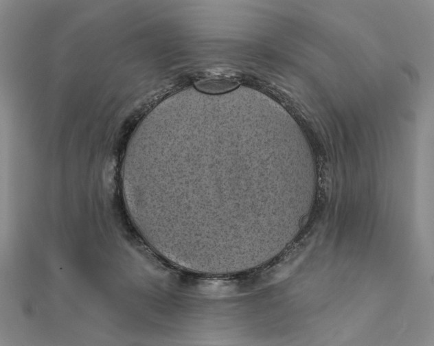 X0000111360319200908071158