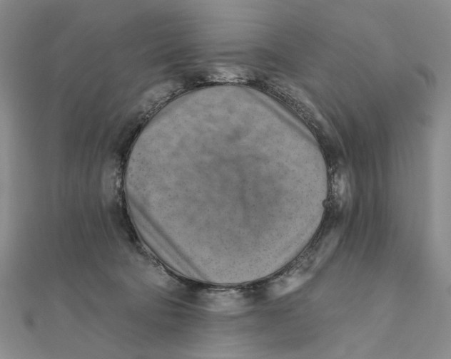 X0000111360322200908071158