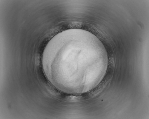 X0000111360323200908071158