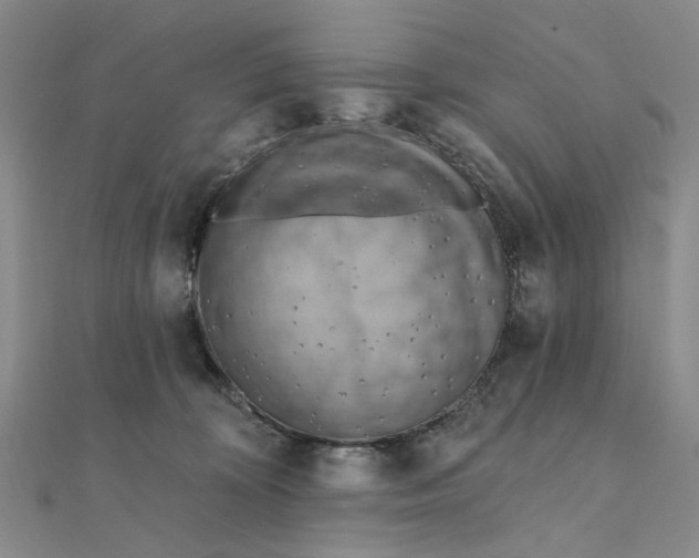 X0000111360324200908071158