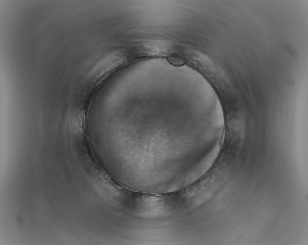 X0000111360325200908071158