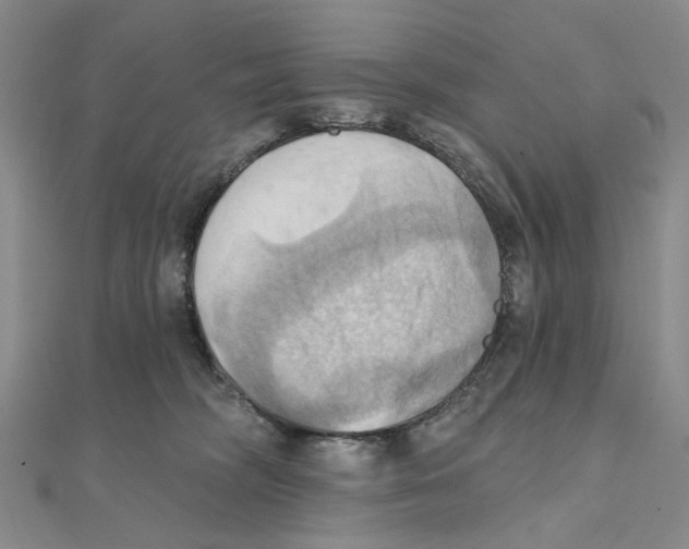 X0000111360326200908071158