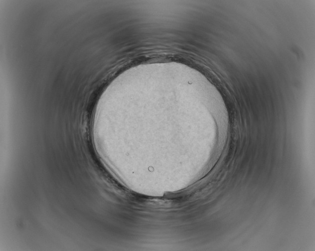 X0000111360328200908071158