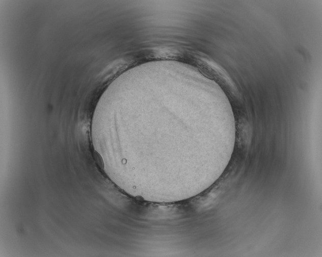 X0000111360329200908071158