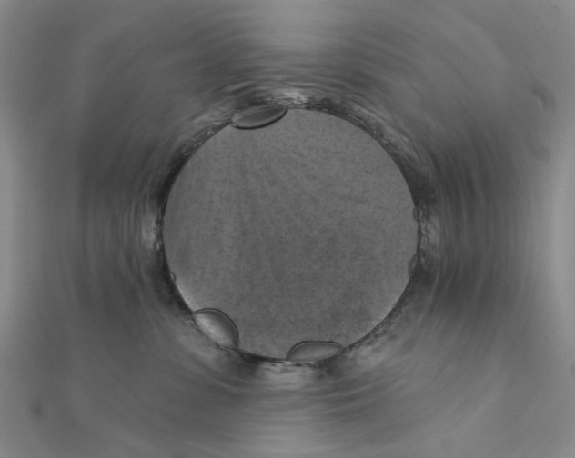 X0000111360331200908071158