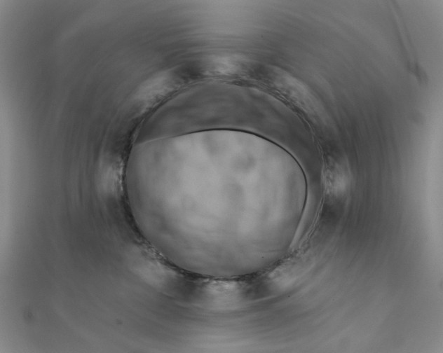 X0000111360332200908071158