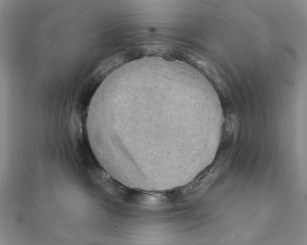 X0000111360333200908071158