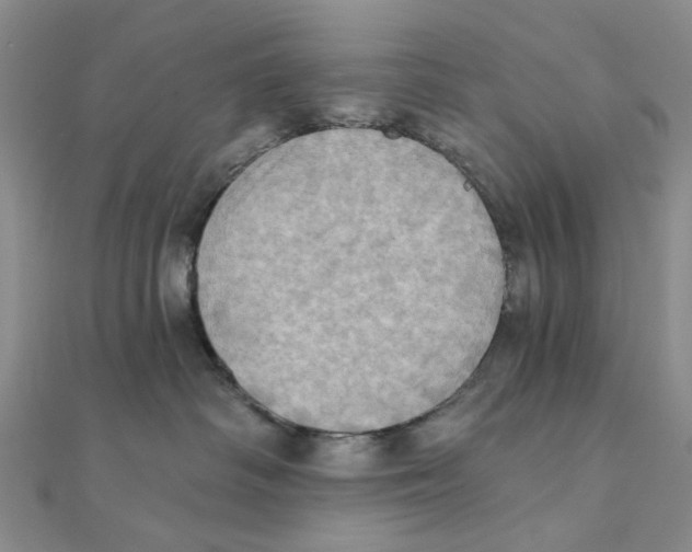 X0000111360334200908071158