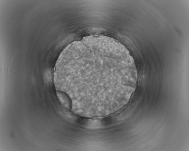 X0000111360335200908071158