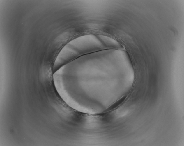 X0000111360336200908071158