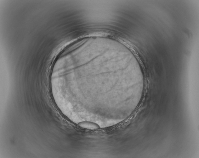 X0000111360337200908071157