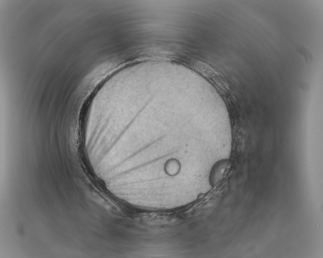 X0000111360338200908071157