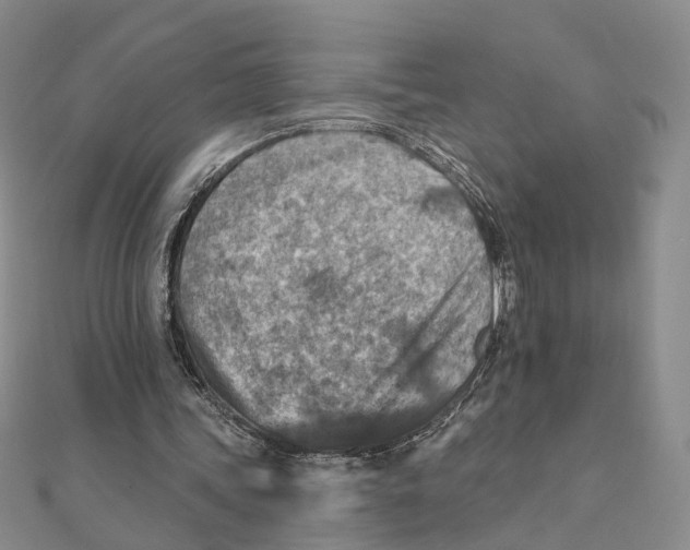 X0000111360339200908071157