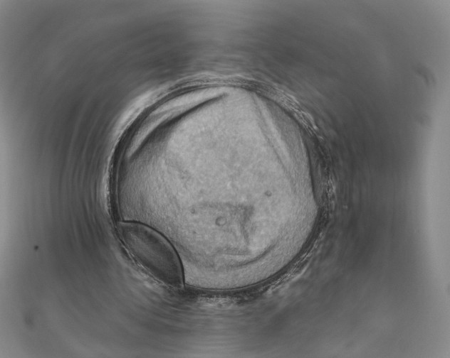 X0000111360340200908071157