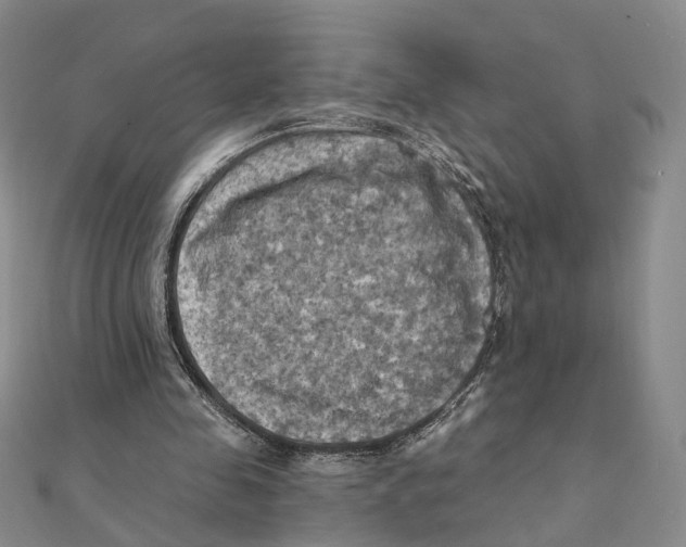 X0000111360341200908071157