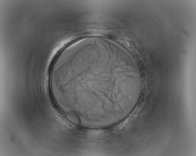 X0000111360342200908071157