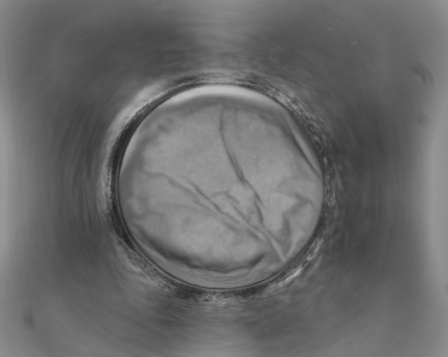 X0000111360343200908071157