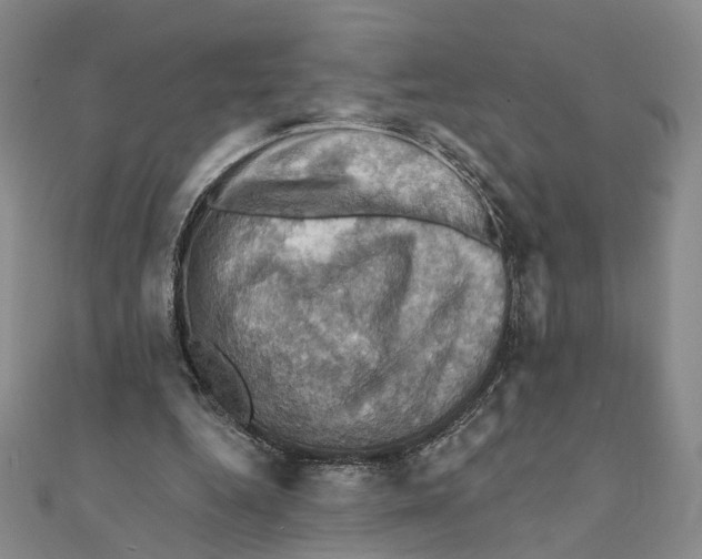 X0000111360344200908071157