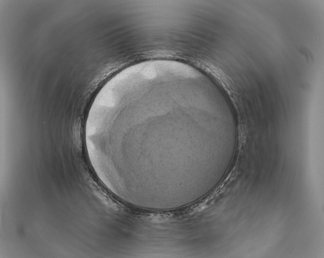 X0000111360345200908071157