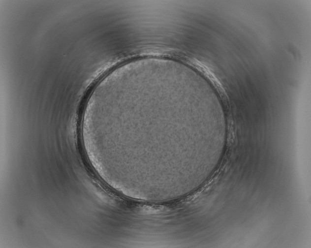 X0000111360346200908071157