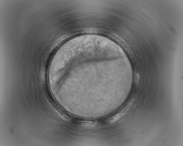 X0000111360347200908071157