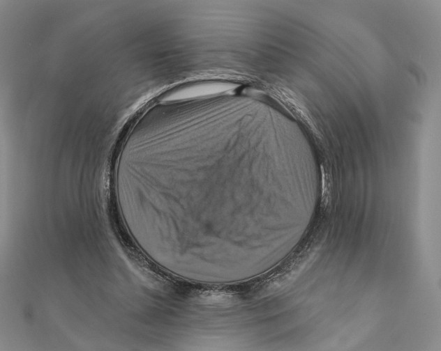 X0000111360348200908071157