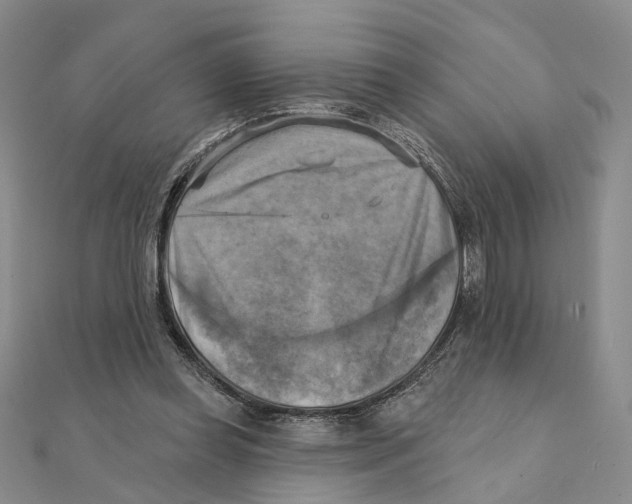 X0000111360349200908071158