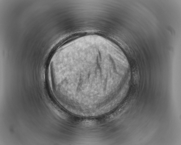 X0000111360350200908071158