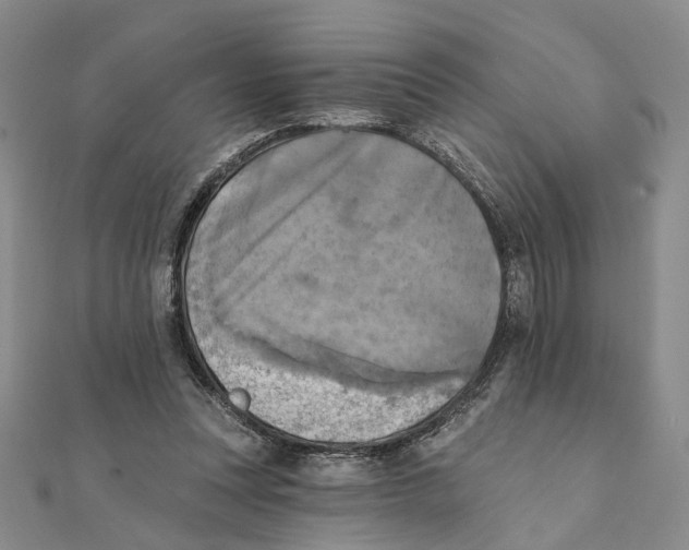 X0000111360351200908071158