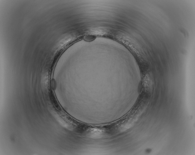 X0000111360352200908071158