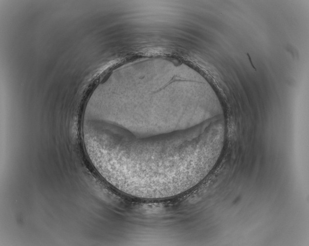 X0000111360353200908071158