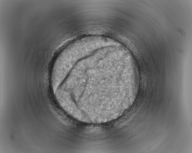 X0000111360354200908071158