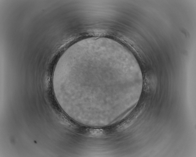 X0000111360355200908071158