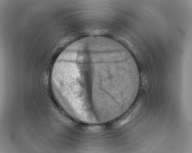 X0000111360357200908071158