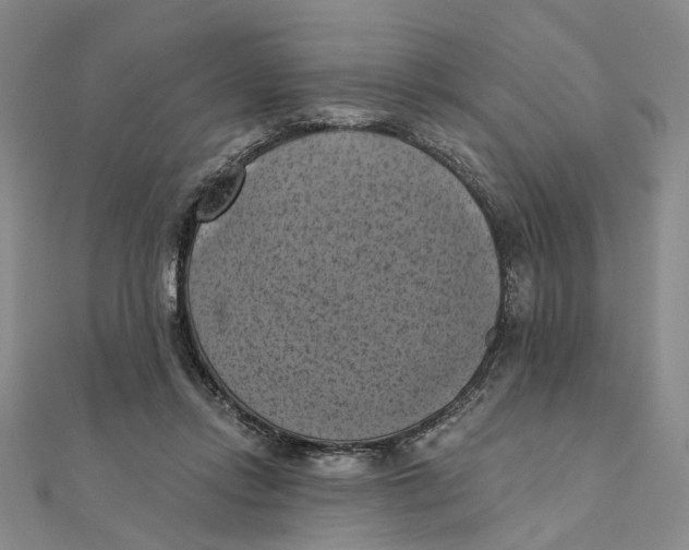 X0000111360358200908071158