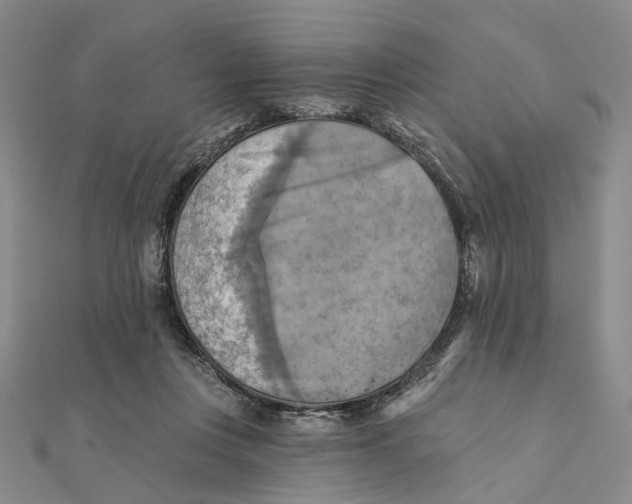 X0000111360359200908071158