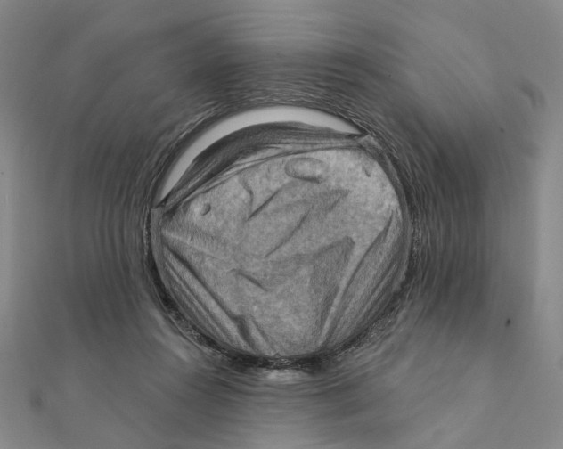 X0000111360360200908071158