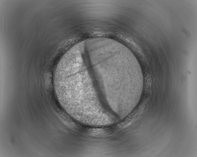 X0000111360361200908071158