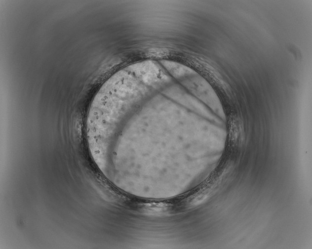 X0000111360363200908071158